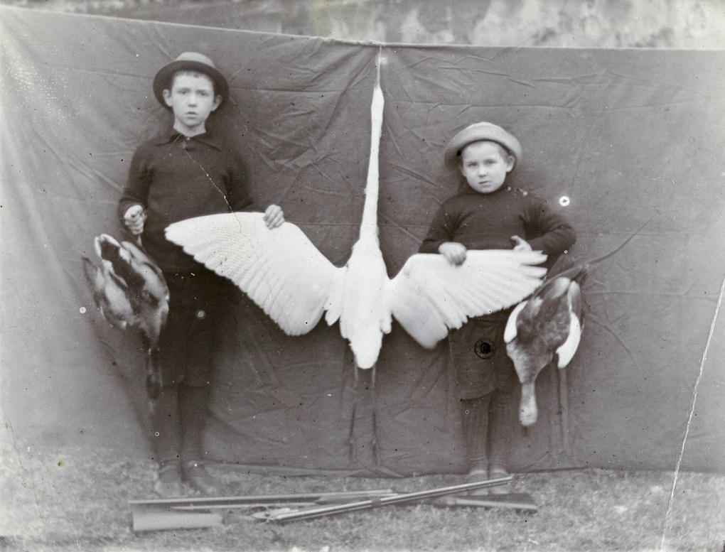 Charles (Evans) and Bill Elliott, with an egret and ducks, 1917