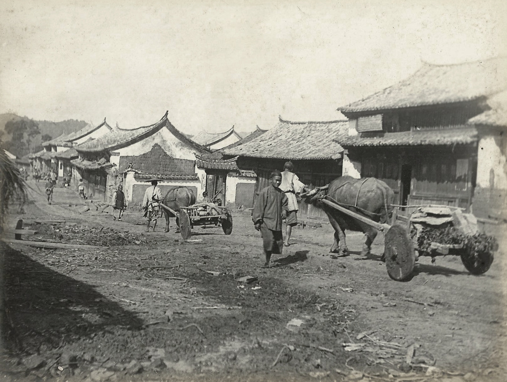 Buffalo carts in Szemao, Yunnan Province