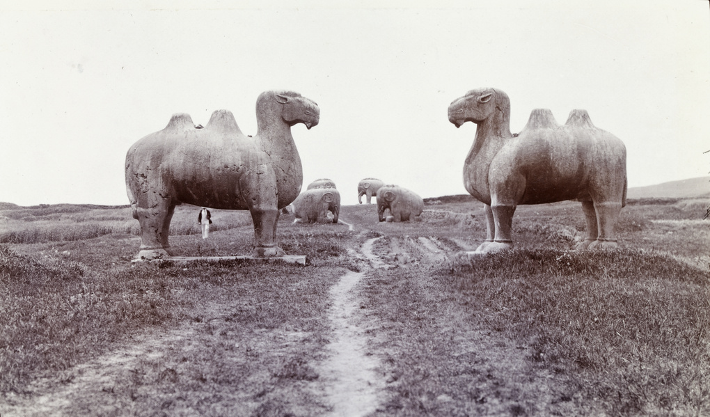 Stone camels and elephants, Xiao Ling Tomb, near Nanjing