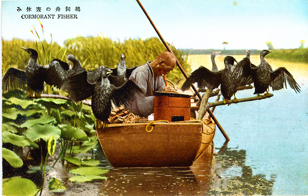 Fisherman, with cormorants