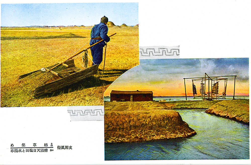 Agricultural worker; wind-powered irrigation