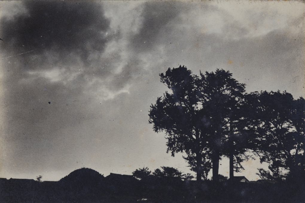 Trees silhouetted by darkening clouds