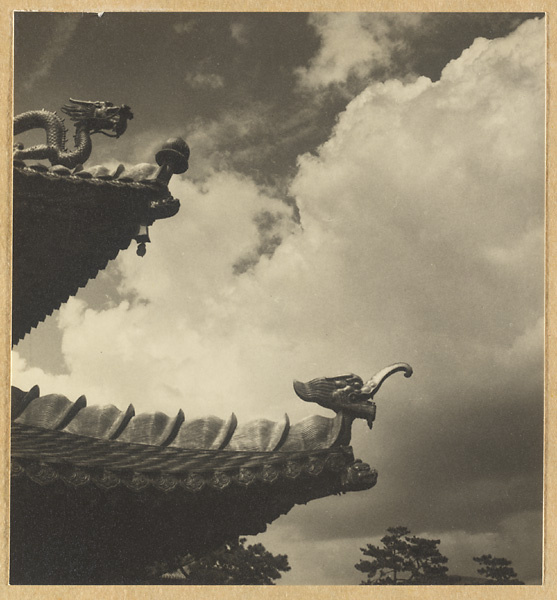 Detail showing double-eaved roof of Miao gao zhuang yan dian with a dragon and a a sea elephant
