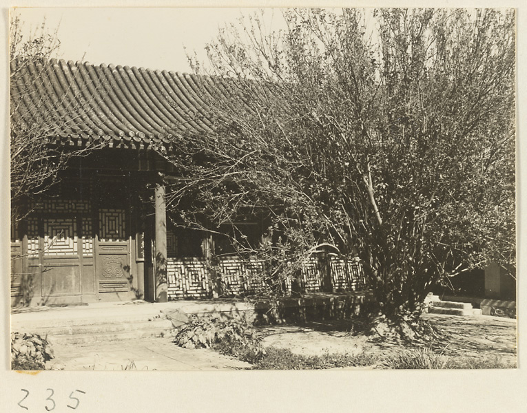 Tree and building detail showing columnaded porch, door, and latticework at the New Wu Garden