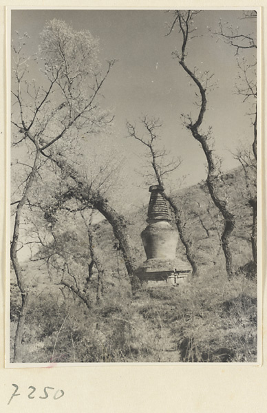 Stupa-style pagoda at Jie tai si