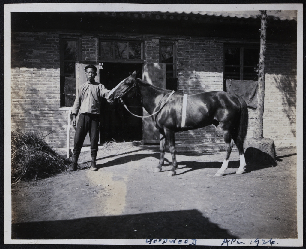 Mafoo with 'Goodwood', a racehorse