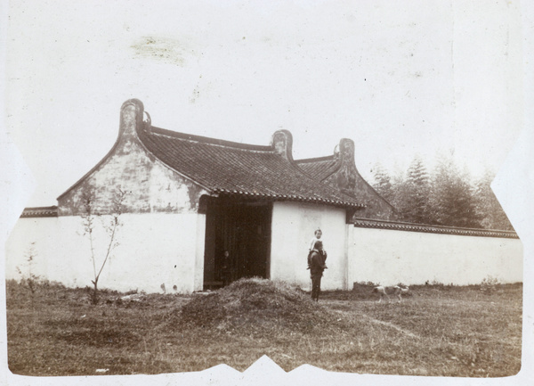 A child on a man's shoulders, with a dog