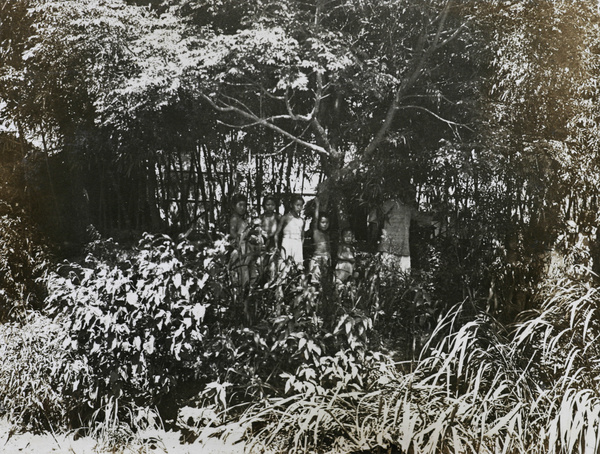 People among vegetation