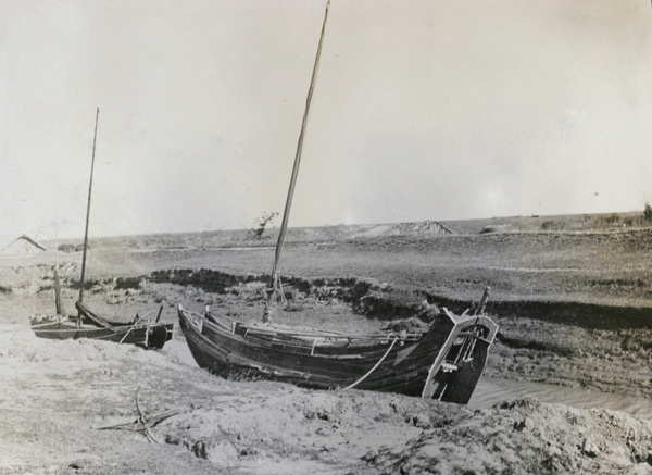 Moored boats