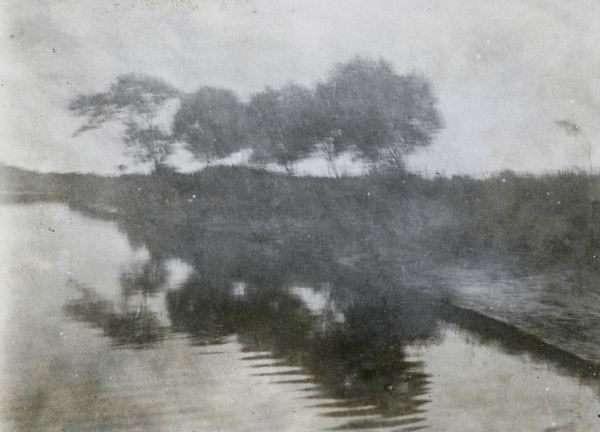 Trees reflected in a waterway