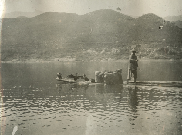 Fisherman with cormorants