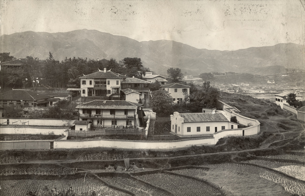 Houses and paddy fields