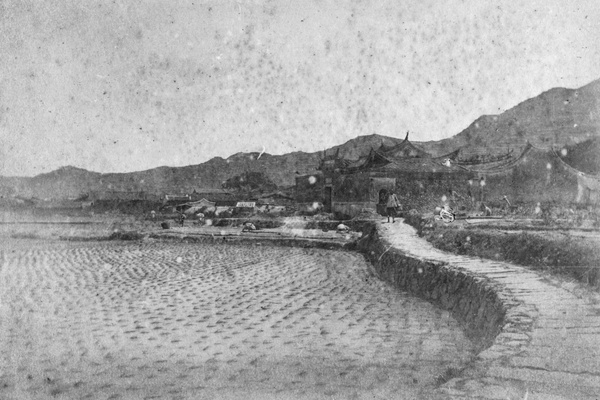 Raised path through a paddy field