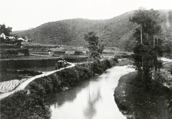 Roadway through terraced rice fields, Kwangsi