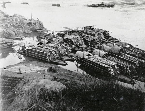 Firewood for Hong Kong, on boats at Wuchow