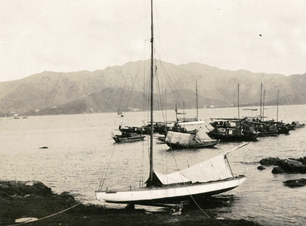 Boats moored in harbour