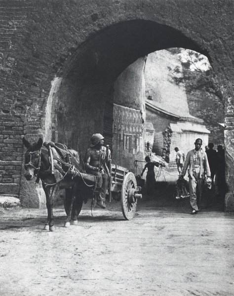 A carter and donkey posed by Fuchengmen (阜成門), Beijing