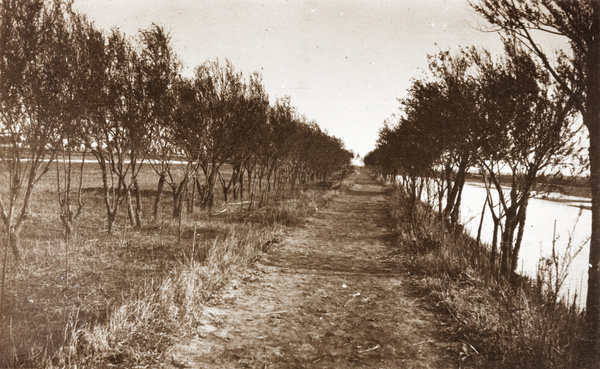 Riverside path by racecourse, Tientsin (天津)