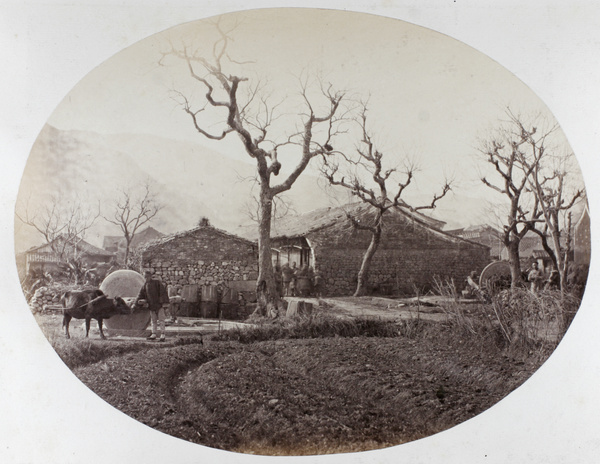 Husking rice with stone wheels (chaser mills), by a farmhouse, Zhejiang Province