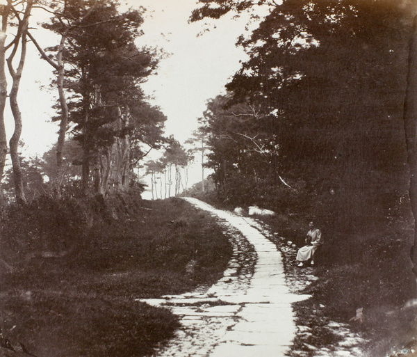 Paved avenue at King Ashoka Temple (阿育王寺), near Ningbo