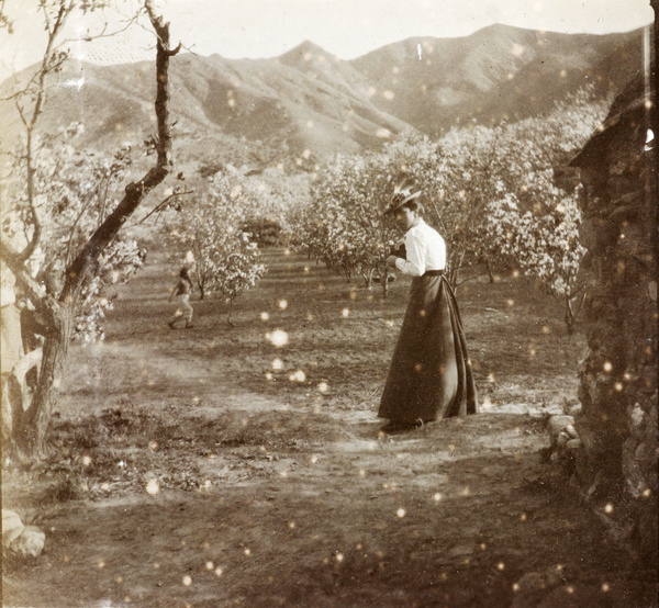 Maude Carrall taking a picture at the 'Blossoms', Chefoo