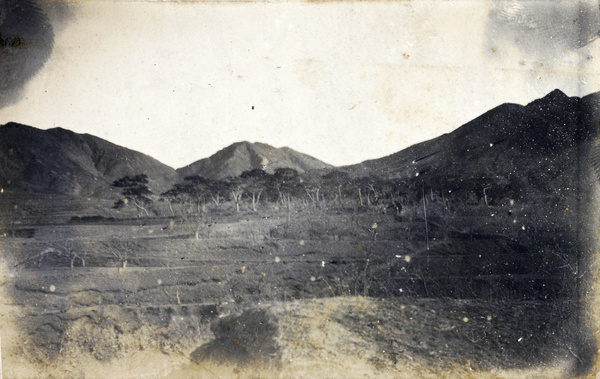 Picnic to the 'Blossoms', Chefoo