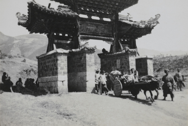 Buffalo cart by a gate