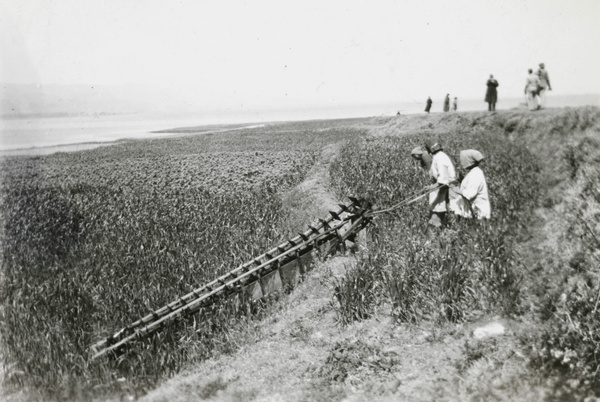 Flooding a higher paddy field with a dragon's backbone water ladder pump (龍骨水車), Yunnan province