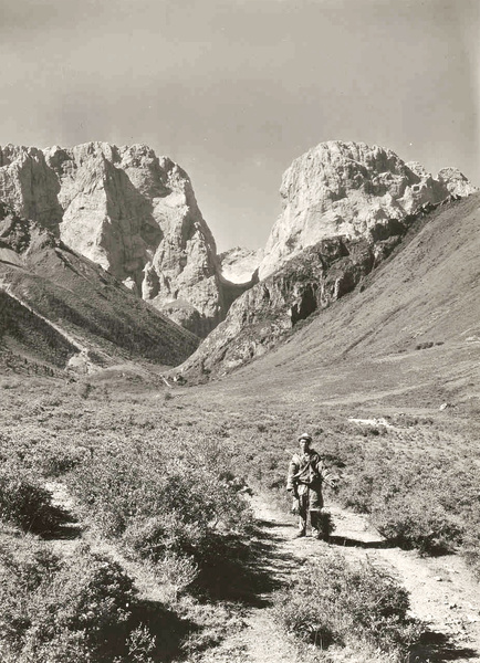 A mountain guide on  a track towards mountains