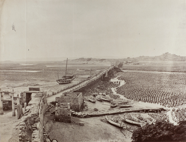 Luoyang Bridge (洛阳桥), Quanzhou, Fujian, showing oyster beds