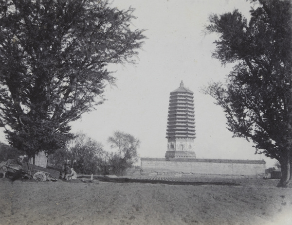 Balizhuang pagoda and maidenhair (Ginkgo biloba) trees, Beijing