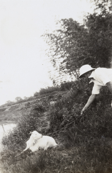 A man and a goat beside a creek