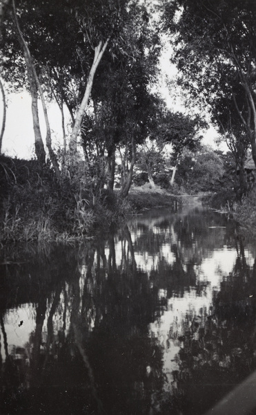 A quiet creek