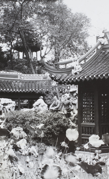 Visitors at an ornamental garden, with lotus water lilies