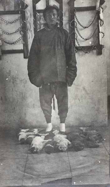 Cat catcher, with dead cats, Tianjin