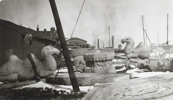 Marble camels and other tomb statuary, seized and abandoned, Beijing