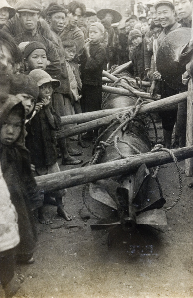 Onlookers around the wayward torpedo, dubbed the 'Red Herring'