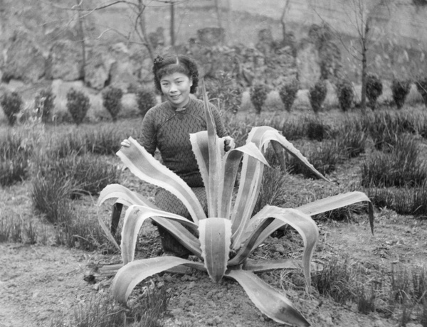 Liu Shengyi, with aloe, Northern Hot Springs Park