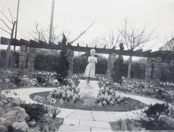 Hyacinths and daffodils in the garden, 727 Avenue Haig, Shanghai
