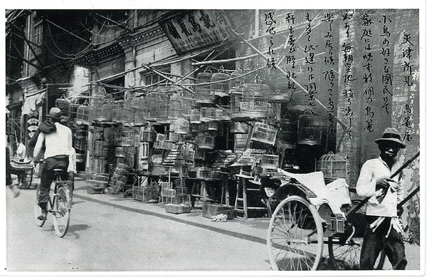 Bird cage shop, Tientsin