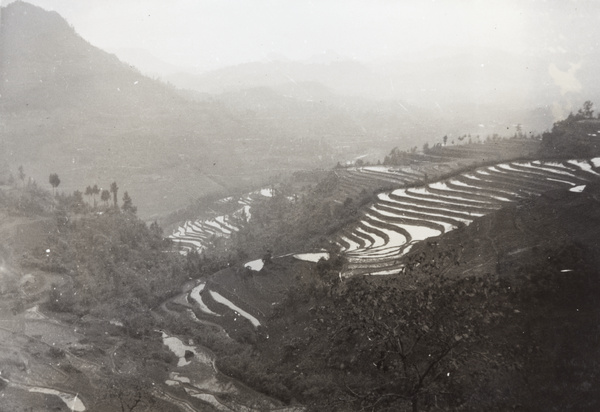 Terraced rice fields, near Luzhou