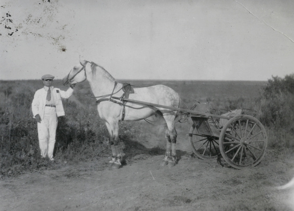 P. Ignatieff with a horse and trap