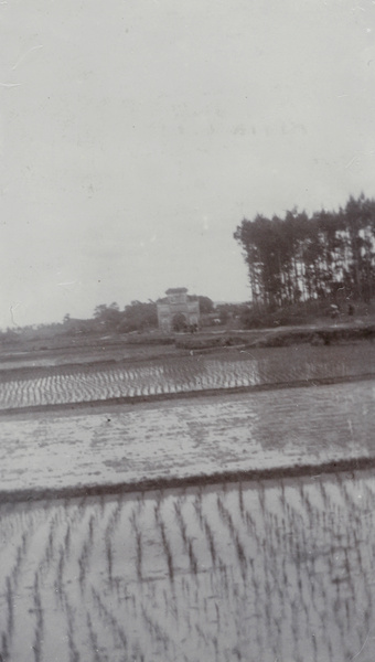 Rice fields and gateway