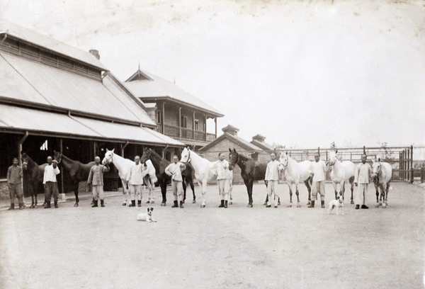 Mafoos, polo ponies and stables, Dennartt Estate, Shanghai