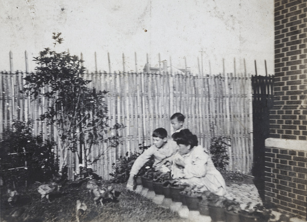 Elizabeth Hutchinson and two children feeding poultry chicks in the garden, 35 Tongshan Road, Hongkew, Shanghai