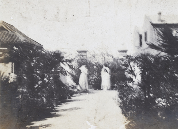 Two women in a garden