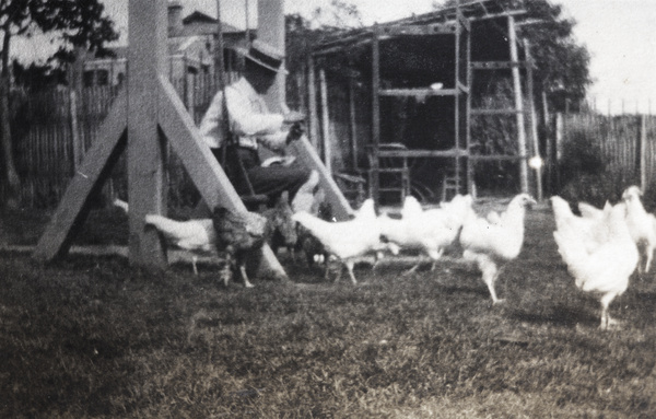 William Hutchinson sitting on a garden swing seat feeding chickens, Hongkew, Shanghai