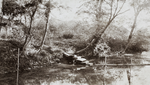 Stepping stones from a small waterway to a wooded bankside