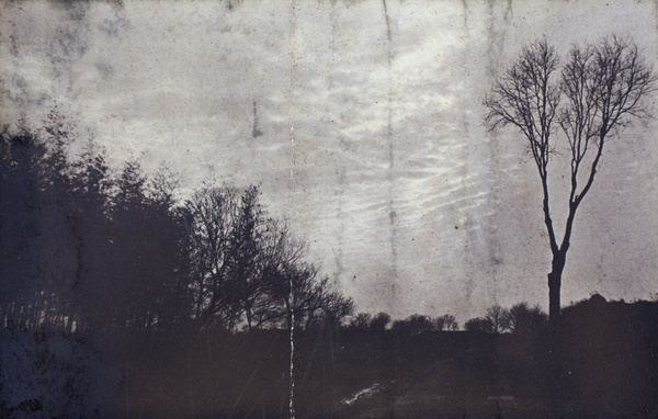 Trees silhouetted by clouds beside a ditch, Hongkou, Shanghai