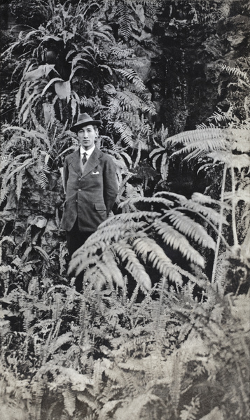 Tom Hutchinson among ferns in the Sincere Department Store roof garden, Shanghai